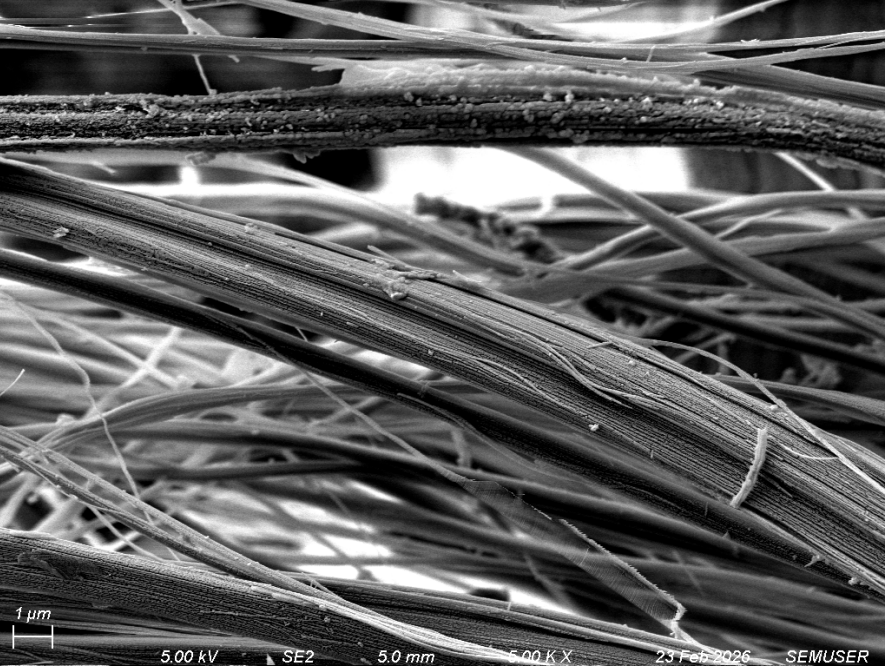 Scanning electron microscope image of fibers, with a one-micrometer scale bar.