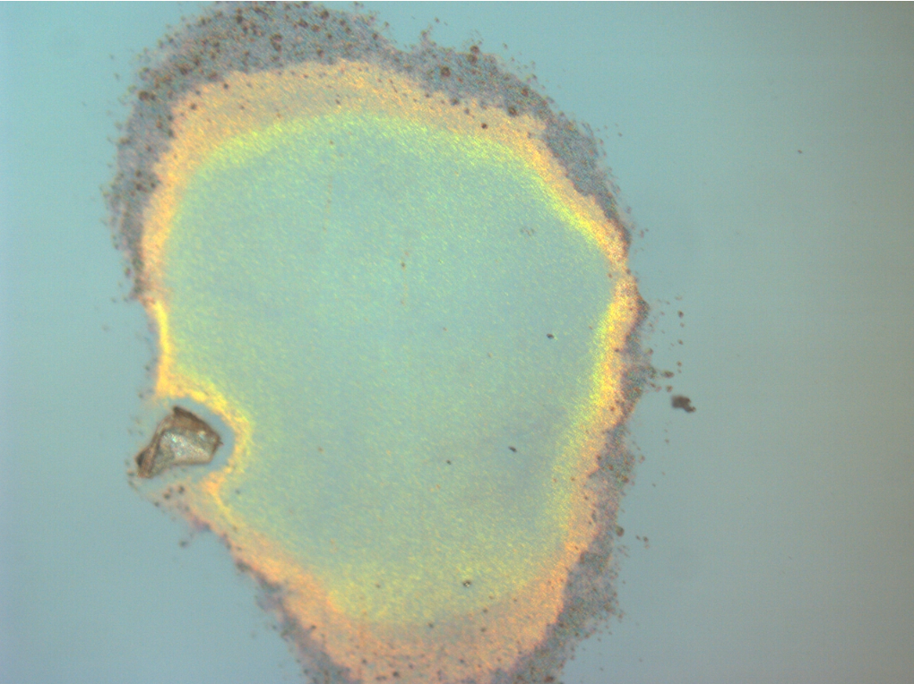 Optical microscope image from the microscopy laboratory project.